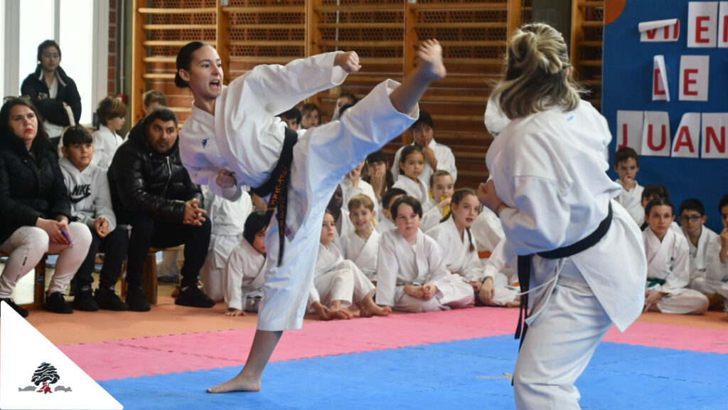 Exhibición de kárate en el Colegio Juan de Lanuza durante la concentración deportiva celebrada en Zaragoza.